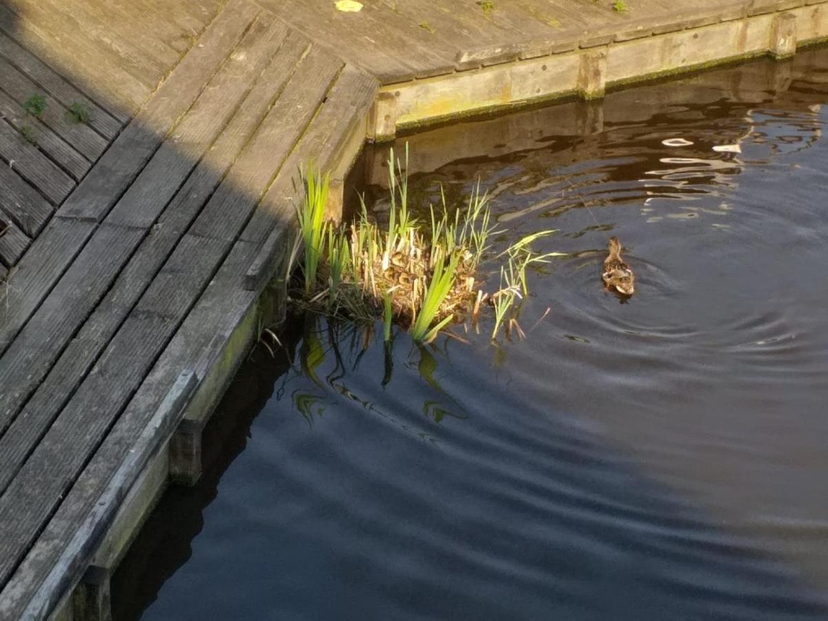 הוילה זנדאם Huisje Aan Het Water, Omgeving Amsterdam מראה חיצוני תמונה